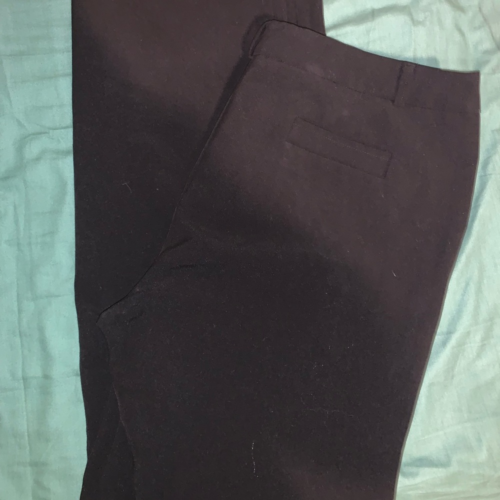 Shut pants